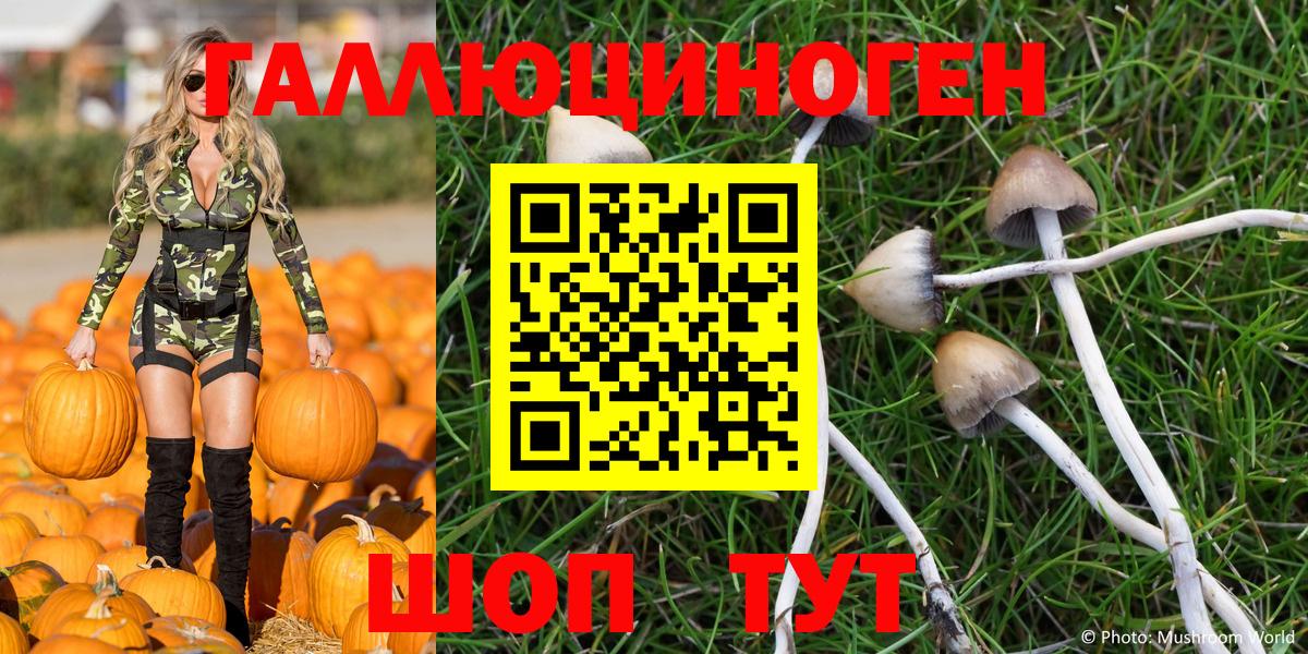 Псилоцибиновые грибы MAGIC MUSHROOMS Салехард