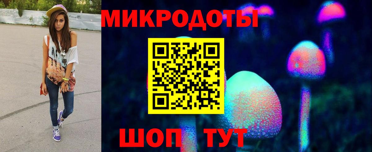 Псилоцибиновые грибы мицелий  Вход с VPN  Галлюциногенные грибы мицелий  Салехард 