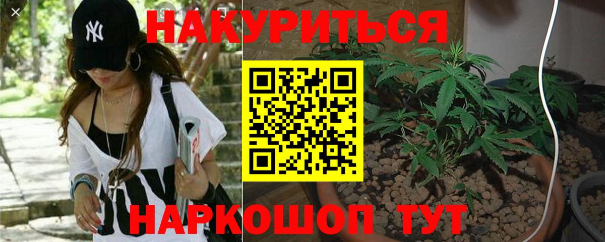Каннабис гибрид  Вход с VPN  Конопля план  Бошки Шишки гибрид  Каннабис гибрид  Салехард 